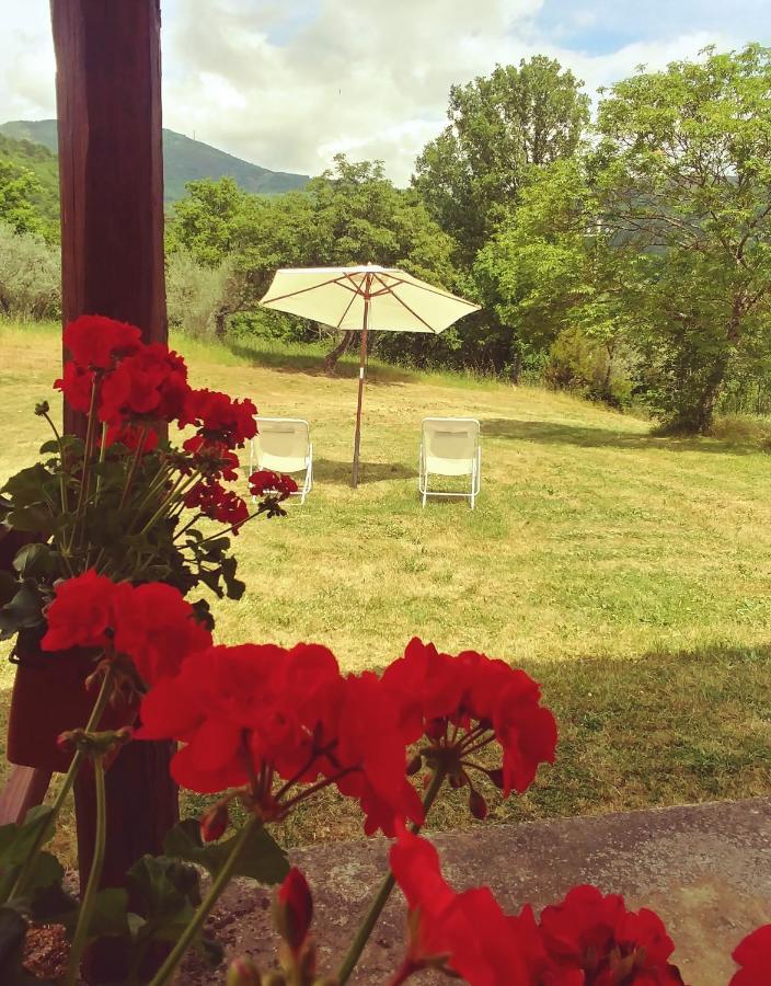 Agriturismo Botro Pulicciano Bagian luar foto